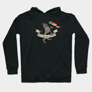 Pan Flag - Do crimes Hoodie